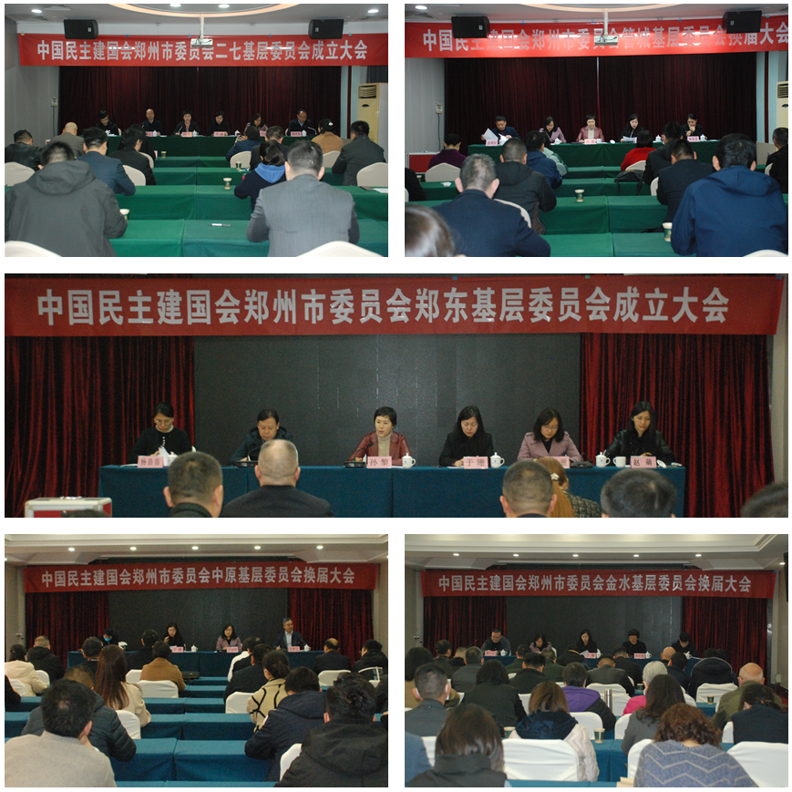 民建鄭州市委會(huì)圓滿(mǎn)完成基層委員會(huì)換屆（成立）大會(huì)